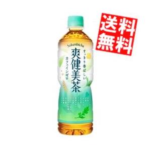 茜霧島 本格芋焼酎 25度 1.8Lパック : 酒の抱井良造商店 - 通販