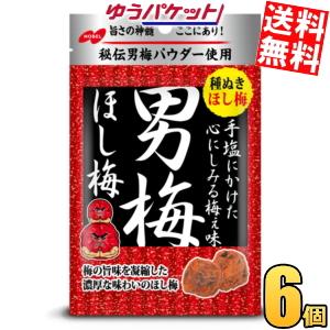 NOBEL ノーベル 20g 男梅ほし梅 (6×2)12袋入 (最短当日出荷)(熱中症