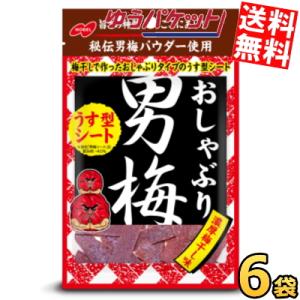 ゆうパケット送料無料 ノーベル おしゃぶり男梅 薄型シート 10g×6袋入 うめ ポイント利用
