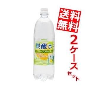 送料無料 1Lサイズ サンガリア 炭酸水 グレープフルーツ 1000mlペットボトル 24本 (12本×2ケース)