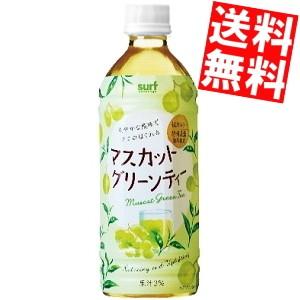 送料無料 サーフビバレッジ マスカットグリーンティー 500mlペットボトル 24本入