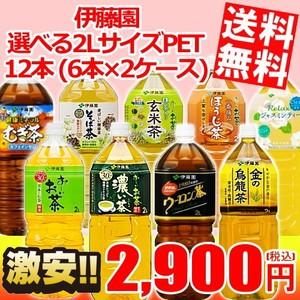 送料無料 伊藤園 2Lペットボトルシリーズ 12本(6本×2ケース) (おーいお茶)｜アットコンビニ ヤフー店