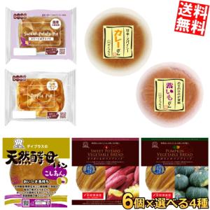 送料無料デイプラス 酵母工業 天然酵母ロングライフパン選べる 計24個セット(6個×4種)