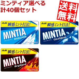 アサヒグループ食品 ミンティア MINTIA ワイルド＆クール (10×20)200入