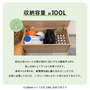 収納ボックス 収納ベンチ 幅90cm 幅120...の詳細画像5