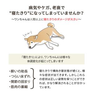 介護用 ドッグ ベッド Lサイズ XLサイズ ...の詳細画像3