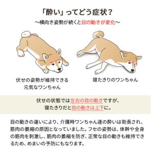介護用 ドッグ ベッド Lサイズ XLサイズ ...の詳細画像4