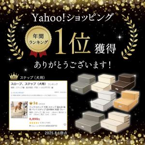 ドッグステップ 犬用 ステップ 踏み台 階段 ...の詳細画像1