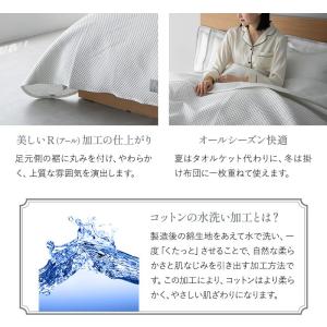 ベッドスプレッド シングル セミダブル ダブル...の詳細画像5
