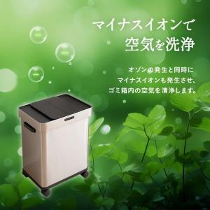 ゴミ箱 ダストボックス 50L 消臭 除菌 オ...の詳細画像3