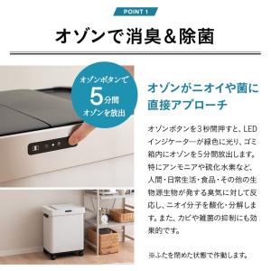 ゴミ箱 ダストボックス 50L 消臭 除菌 オ...の詳細画像5