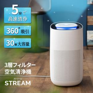 空気清浄機 30畳 コンパクト フィルター 活性炭 タイマー チャイルドロック ウイルス 花粉 PM2.5 ホコリ ペット タバコ 消臭 空気清浄 送料無料 エムール