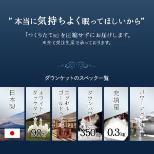 日本製 羽毛肌掛け布団 ダウンケット シングル...の詳細画像2