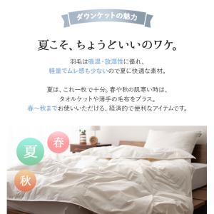 日本製 羽毛肌掛け布団 ダウンケット シングル...の詳細画像3