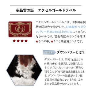 日本製 羽毛肌掛け布団 ダウンケット シングル...の詳細画像5