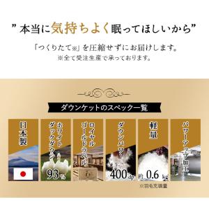 日本製 羽毛肌掛け布団 ダウンケット キング ...の詳細画像2