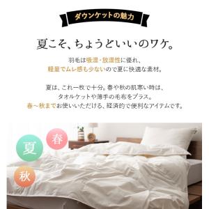 日本製 羽毛肌掛け布団 ダウンケット キング ...の詳細画像3