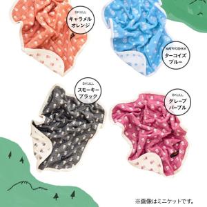 タオル ガーゼ フェイスタオル 手ぬぐい 35...の詳細画像4