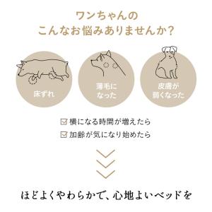 ドッグ ケアベッド 介護用ベッド 低床 ロー ...の詳細画像1