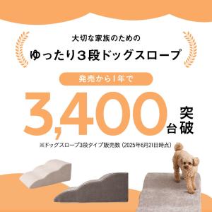 ドッグスロープ 3段 4段 スロープ ステップ...の詳細画像2