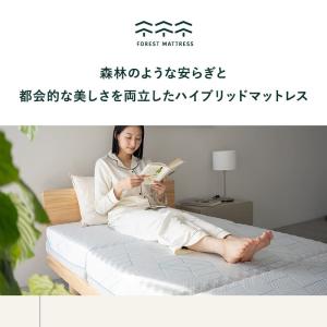マットレス シングル 極厚 15cm フォレス...の詳細画像2