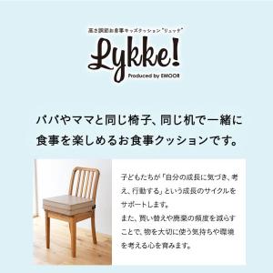 お子様用 クッション リュッケ 防水 高さ 調...の詳細画像1