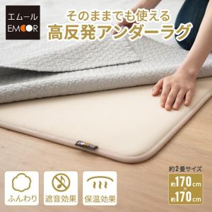 アンダーラグ ラグ カーペット 下敷き 170×170 2畳 滑り止め 防音 遮音 保温 厚手 高反発 ウレタン マット 絨毯 オールシーズン 子供 無地 北欧 エムール