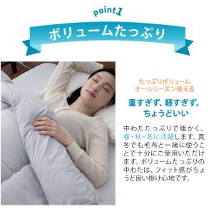 掛け布団 クイーン 日本製 抗菌 防臭 防ダニ...の詳細画像3