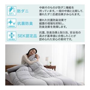 掛け布団 クイーン 日本製 抗菌 防臭 防ダニ...の詳細画像5