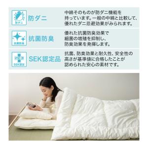 掛け布団 シングル 日本製 抗菌防臭 防ダニ ...の詳細画像5