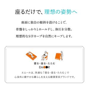 姿勢サポートチェア バランスチェア デスクチェ...の詳細画像4