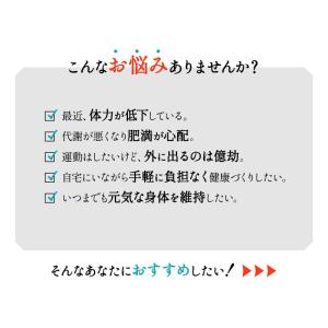 フィットネスバイク エアロバイク 折りたたみ ...の詳細画像1