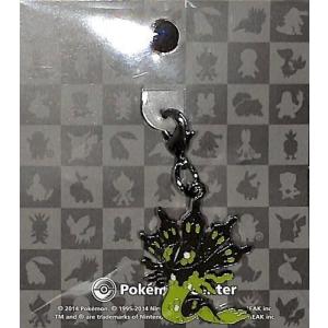 ポケモンセンターオリジナル 全国ずかんメタルチャ...の商品画像