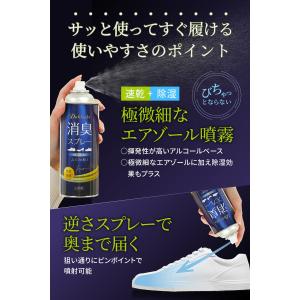 消臭スプレー靴 靴消臭 靴の消臭 靴の消臭スプ...の詳細画像5