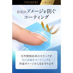 爪補強コート ネイルコート ネイルハードナー ...の詳細画像4