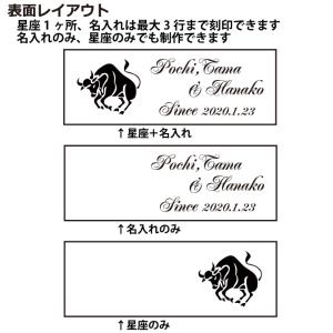 キーホルダー 星座 黄道十二宮 12星座 名入...の詳細画像2
