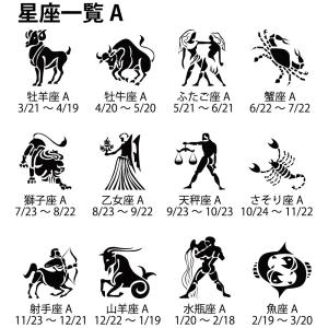 キーホルダー 星座 黄道十二宮 12星座 名入...の詳細画像4