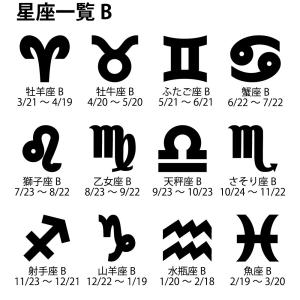 キーホルダー 星座 黄道十二宮 12星座 名入...の詳細画像5