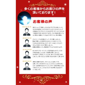 T10 LEDバルブ 3chip セラミック製...の詳細画像3