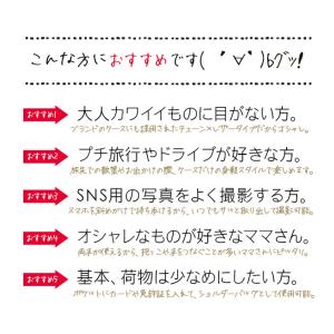 【 手帳型ケース 同時購入専用 】 チェーンス...の詳細画像3