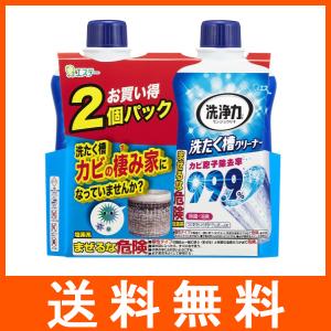 エステー 洗浄力 洗たく槽クリーナー 2パック 550g×2｜at-tree