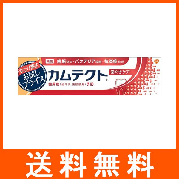 カムテクト 歯ぐきケア お試し品 105g