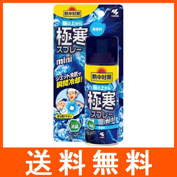 熱中対策 服の上から極寒スプレー ミニ 無香料 93ml
