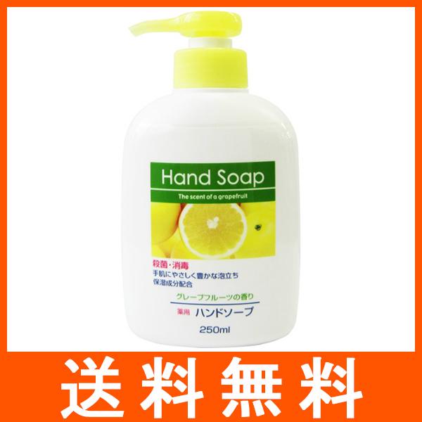 第一石鹸 薬用ハンドソープ 本体 250ml