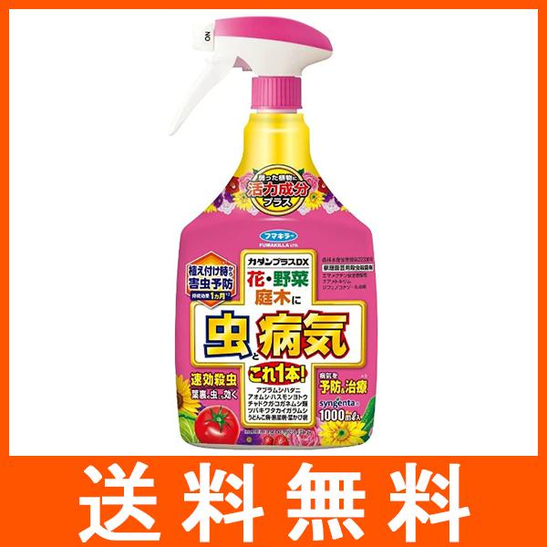 カダンプラスDX 1000ml