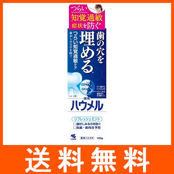 ハウメル 薬用ハミガキ 100g 小林製薬