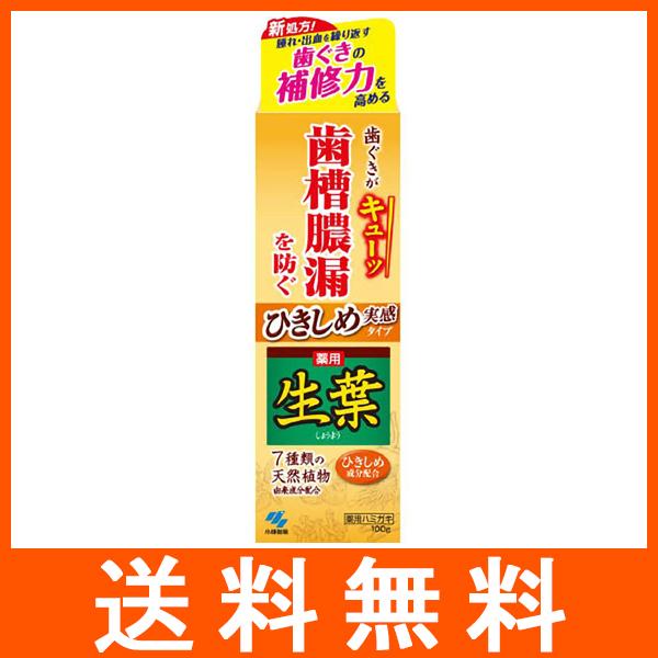 ひきしめ生葉 100g 小林製薬