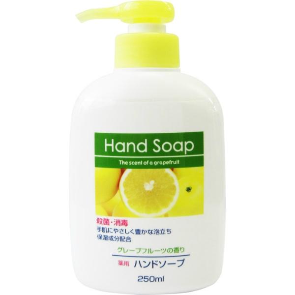 【3点セット】第一石鹸 薬用ハンドソープ 本体 250ml