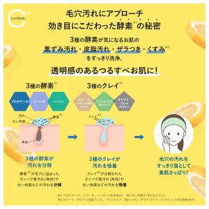 熊野油脂 cyclear ビタミンC 酵素泡洗...の詳細画像4
