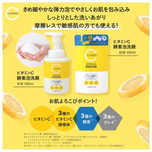 熊野油脂 cyclear ビタミンC 酵素泡洗...の詳細画像5